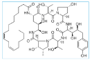 Echinocandin B