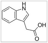 Heteroauxin