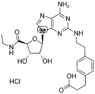 CGS-21680 A Hydrochloride