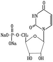 Adenosine 5-monophosphate