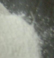 Cephalexin