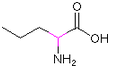 2-Aminopentanoic acid