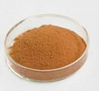 Ginkgo Biloba Extract Powder