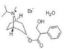 Ipratropium bromide