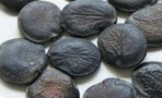 Griffonia Simplicifolia Extract