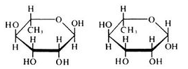 L-rhamnose monohydrate