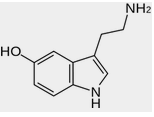 Serotonin