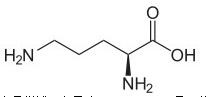 Ornithine