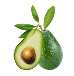 Avocado Pear Extract