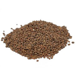 Garden Balsam Seed Extract