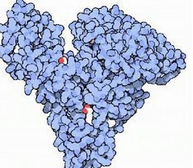 Lactoserum protein