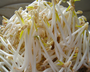 Mung Bean Sprout Extract