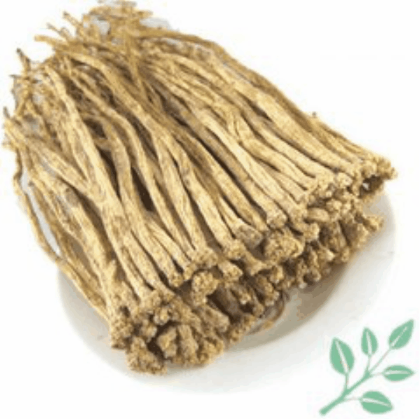 Pilose asiabell root extract