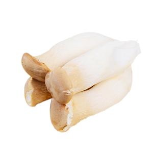 Pleurotus Eryngii Extract