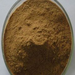 Quercus Salicina Extract