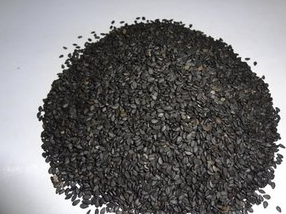 Sesame Extract